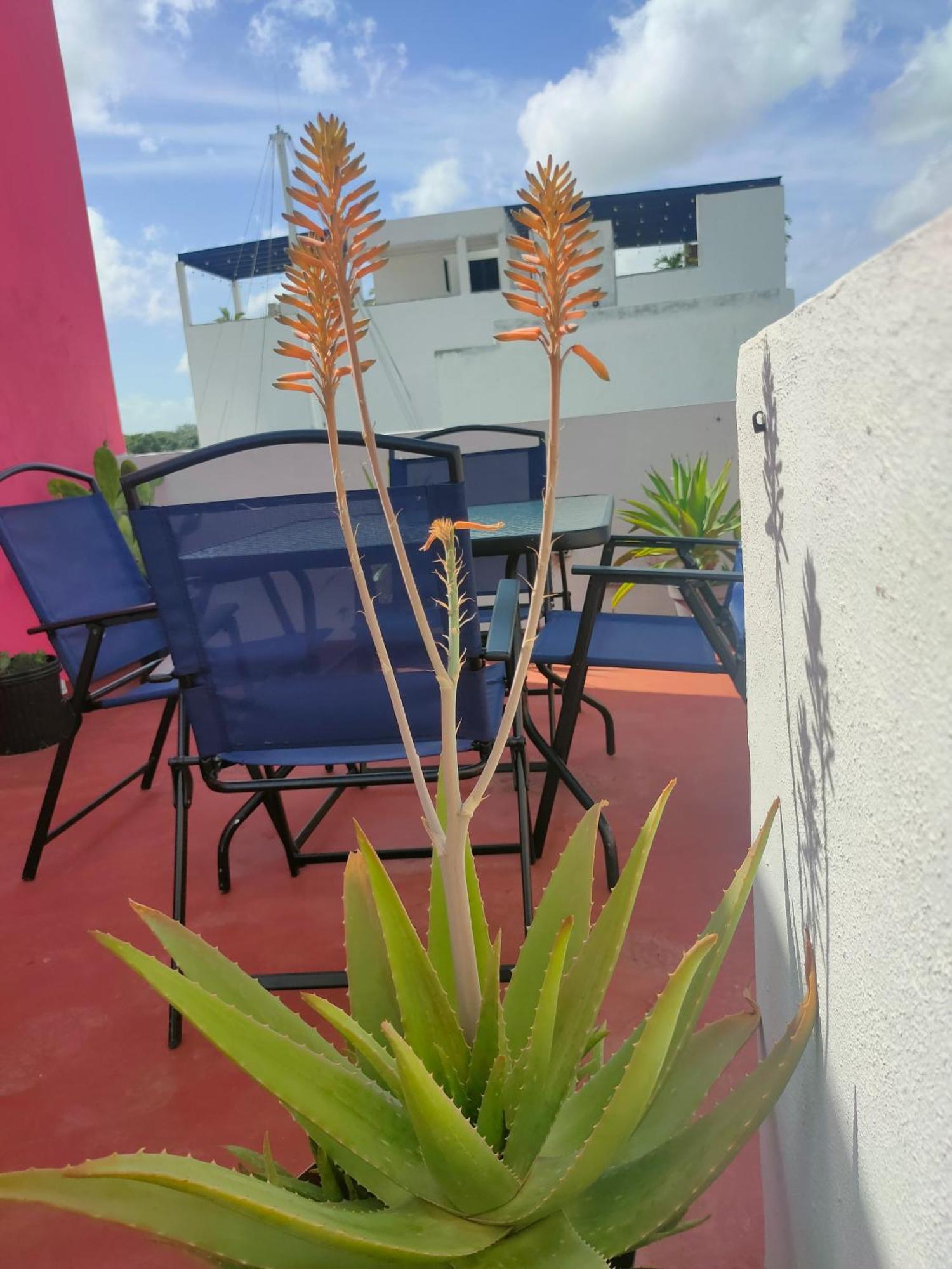 Casa Coraza Διαμέρισμα Κανκούν Εξωτερικό φωτογραφία